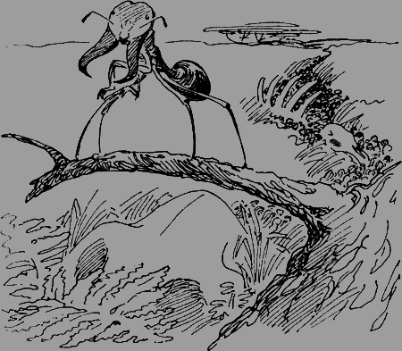 Мои питомцы и другие звери - img67.png