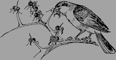 Мои питомцы и другие звери - img68.png