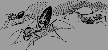 Мои питомцы и другие звери - img70.png