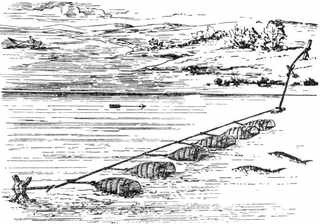 Рыбы России. Том второй - _120.jpg