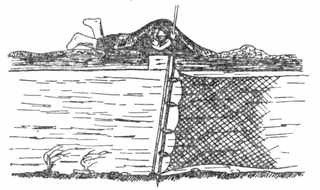 Рыбы России. Том второй - _76.jpg