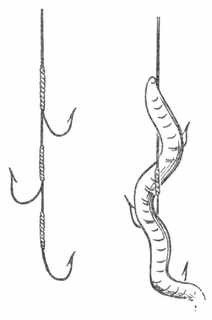 Рыбы России. Том второй - _79.jpg