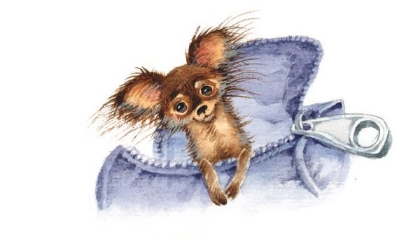 Приключения Маши Михайловой - i_015.jpg