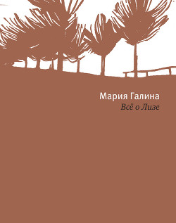 Читать онлайн книгу Всё о Лизе автор Галина Мария Семеновна Книга Всё о Лизе