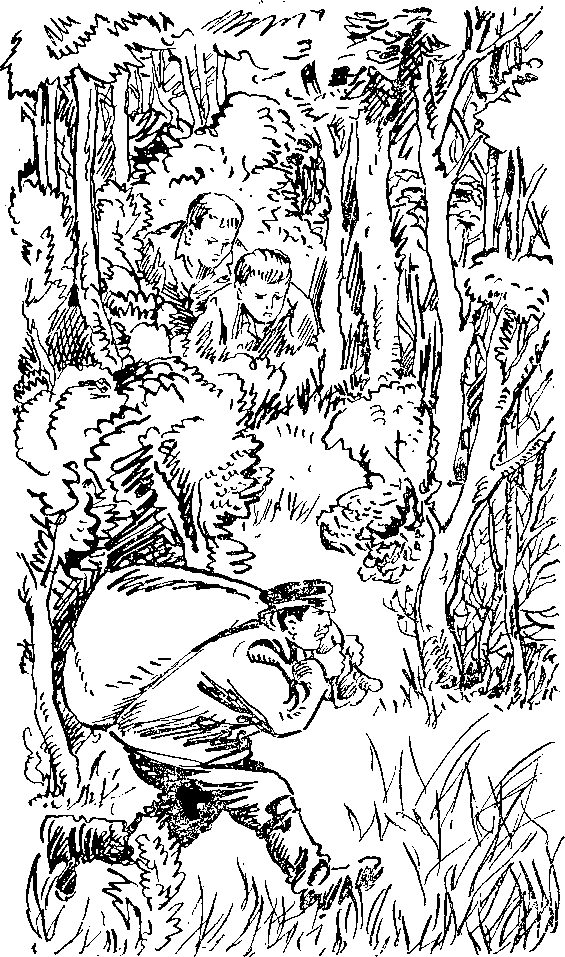 Диваки - i_005.png