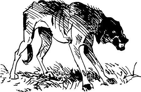 Дружище Тобик (сборник) - i_002.png