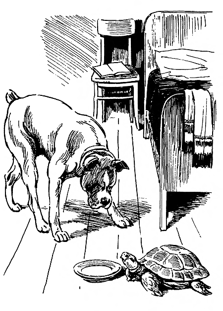 Дружище Тобик (сборник) - i_008.png