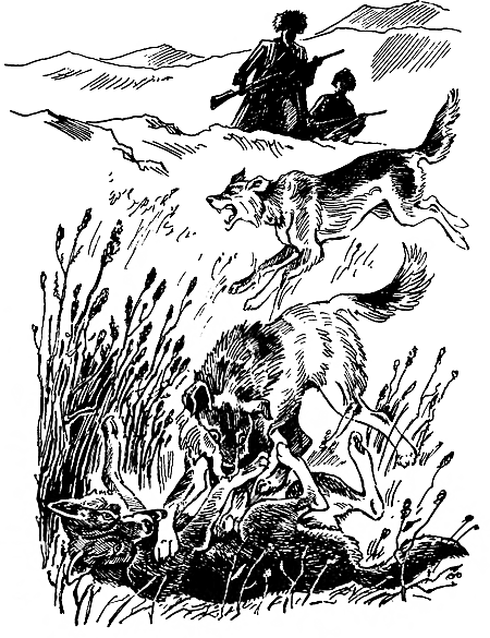 Дружище Тобик (сборник) - i_013.png