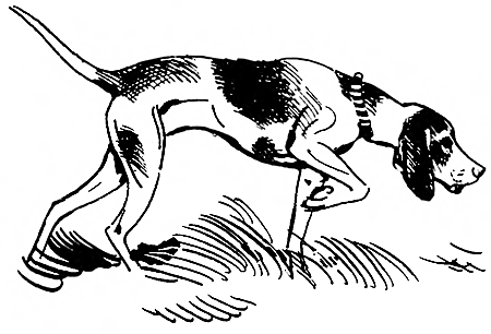 Дружище Тобик (сборник) - i_021.png