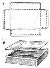 Знай и умей. Самодельные коллекции по ботанике и зоологии - i_023.jpg