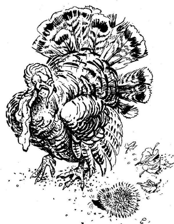 Аленушкины сказки (сборник) - i_057.png