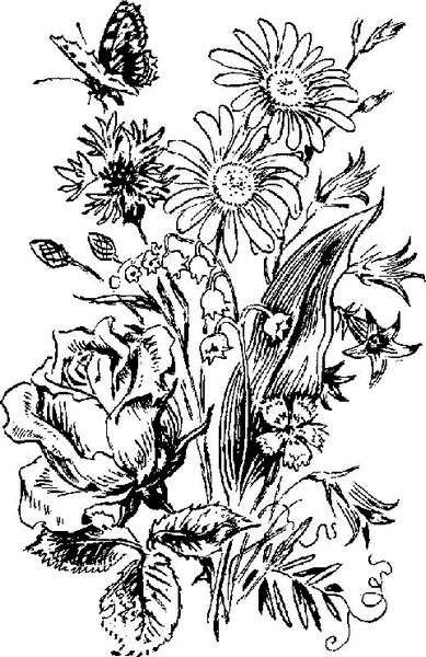 Аленушкины сказки (сборник) - i_061.png