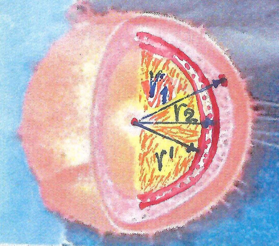 Школьная космогония детям (СИ) - _7.jpg