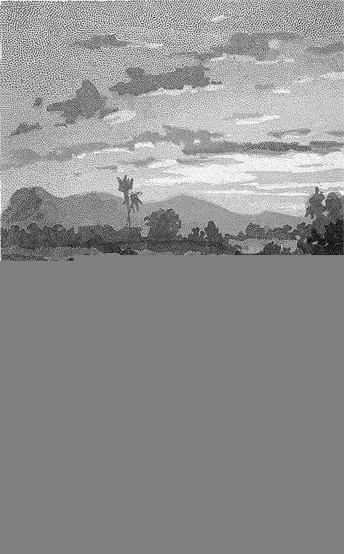 Зверобой (Художник Г. Брок) - i_004.jpg