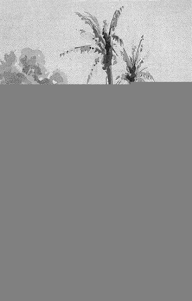 Зверобой (Художник Г. Брок) - i_008.jpg