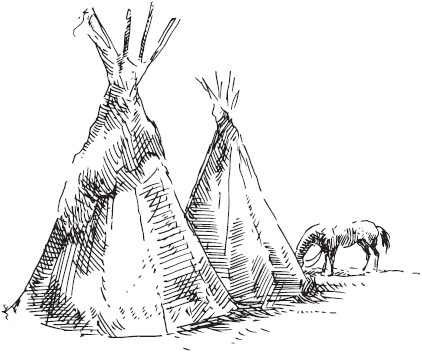 Зверобой, или Первая тропа войны (ил. Г. и Н. Поплавских) - _00_.png