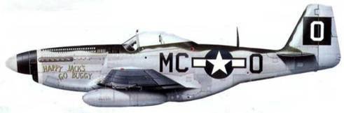 «Мустанги» над Рейхом - pic_111.jpg