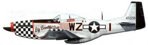 «Мустанги» над Рейхом - pic_114.jpg