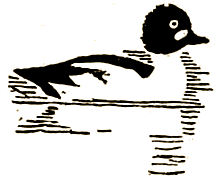 Маленькие дикари (Издание 1923 г.) - i_156.png