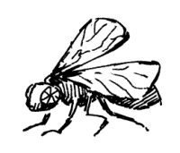 Загадка старого клоуна (с илл.) - i_043.jpg