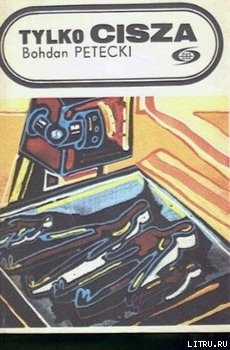 Читать онлайн книгу Только тишина автор Петецкий Богдан Книга Только тишина
