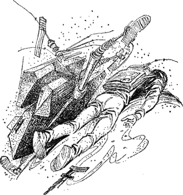 Лицом к свету - _2.png