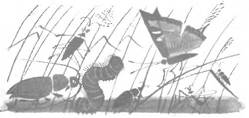 Серая звездочка - _8.jpg