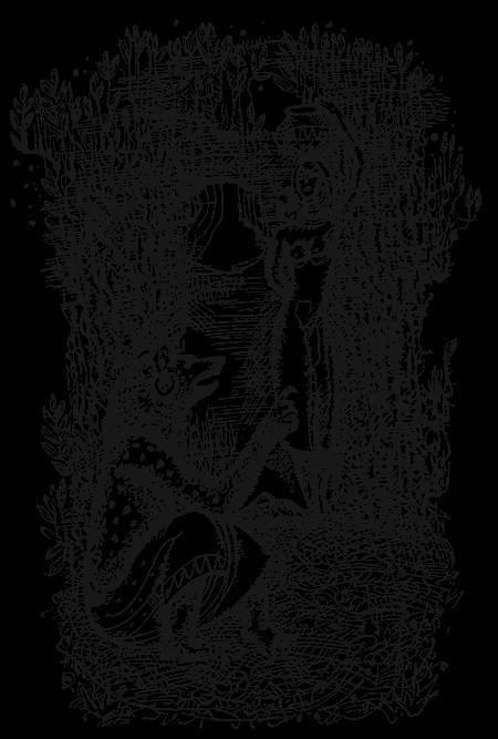 Самба-храбрец. Сказки и легенды Сенегала - _16.jpg