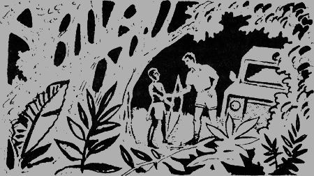 Черный феникс. Африканское сафари - img14.png