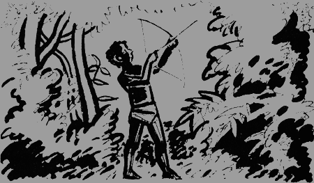 Черный феникс. Африканское сафари - img15.png