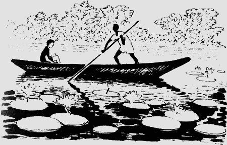 Черный феникс. Африканское сафари - img20.png