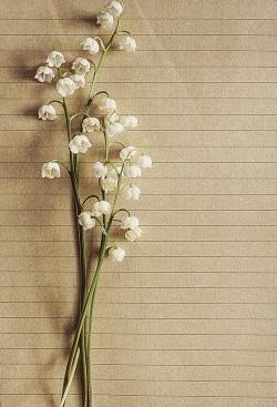 Книга Все дороги ведут к тебе