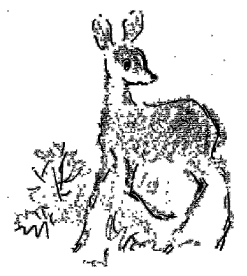У лісничівці - i_002.png