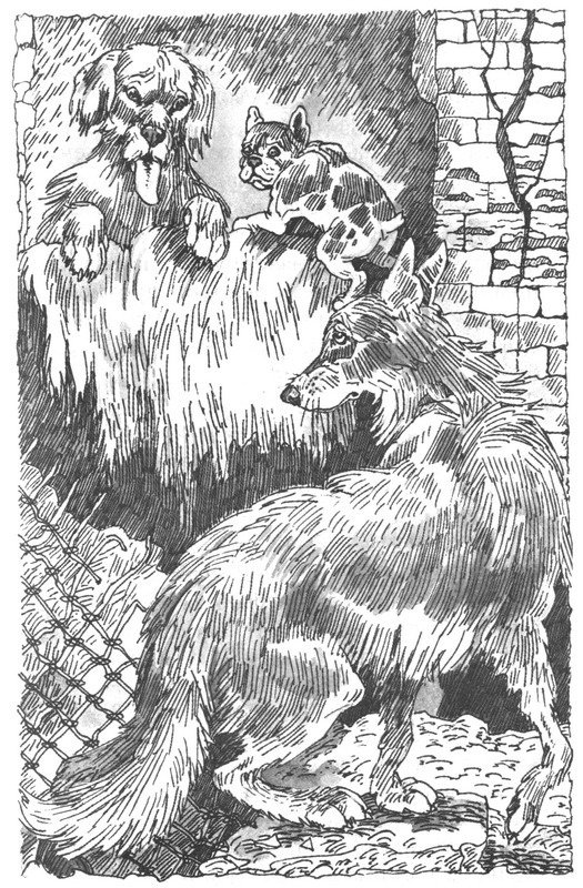 Пустой город - pic159.jpg