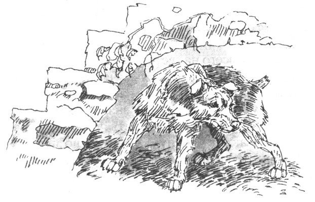 Пустой город - pic171.jpg