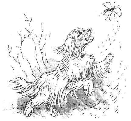 Пустой город - pic219.jpg