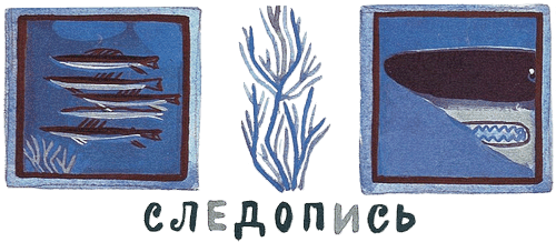 Дельфиния - i_018.png