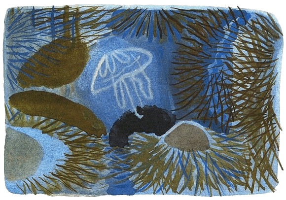 Дельфиния - i_020.png