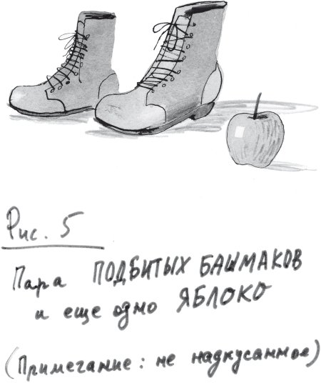 Ной Морсвод убежал - _5.jpg