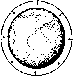 Новый ум короля: О компьютерах, мышлении и законах физики - i_102.png