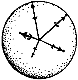 Новый ум короля: О компьютерах, мышлении и законах физики - i_156.png
