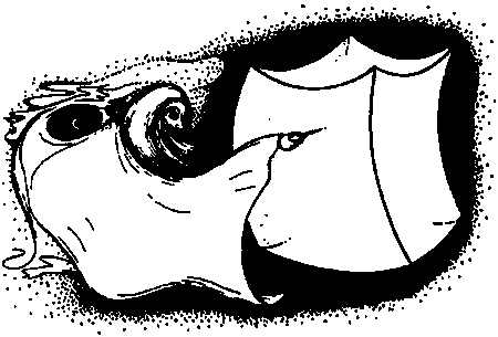 Новый ум короля: О компьютерах, мышлении и законах физики - i_190.png