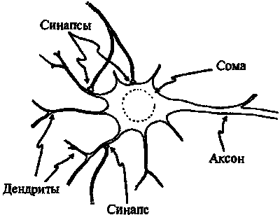 Новый ум короля: О компьютерах, мышлении и законах физики - i_220.png