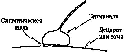 Новый ум короля: О компьютерах, мышлении и законах физики - i_221.png