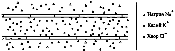 Новый ум короля: О компьютерах, мышлении и законах физики - i_222.png