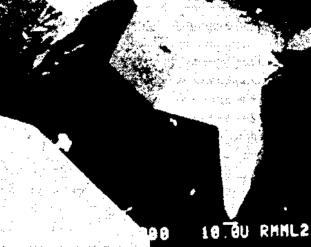 Новый ум короля: О компьютерах, мышлении и законах физики - i_231.png