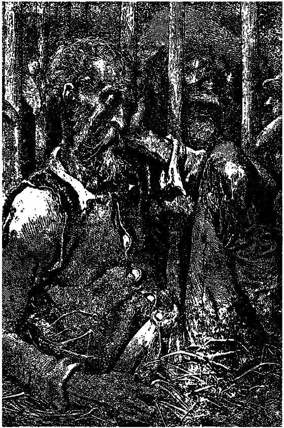 Дон Кіхот - image22.jpg