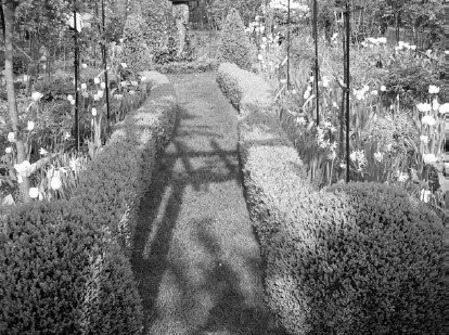 Благоустройство территории вокруг коттеджа - i_027.jpg