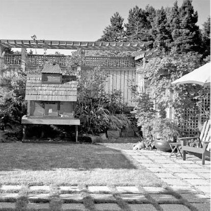 Благоустройство территории вокруг коттеджа - i_074.jpg