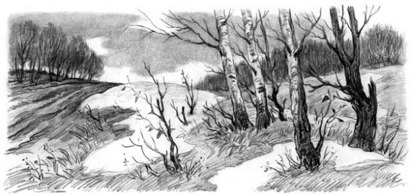 Рассказы и сказки(сборник) - i_023.jpg